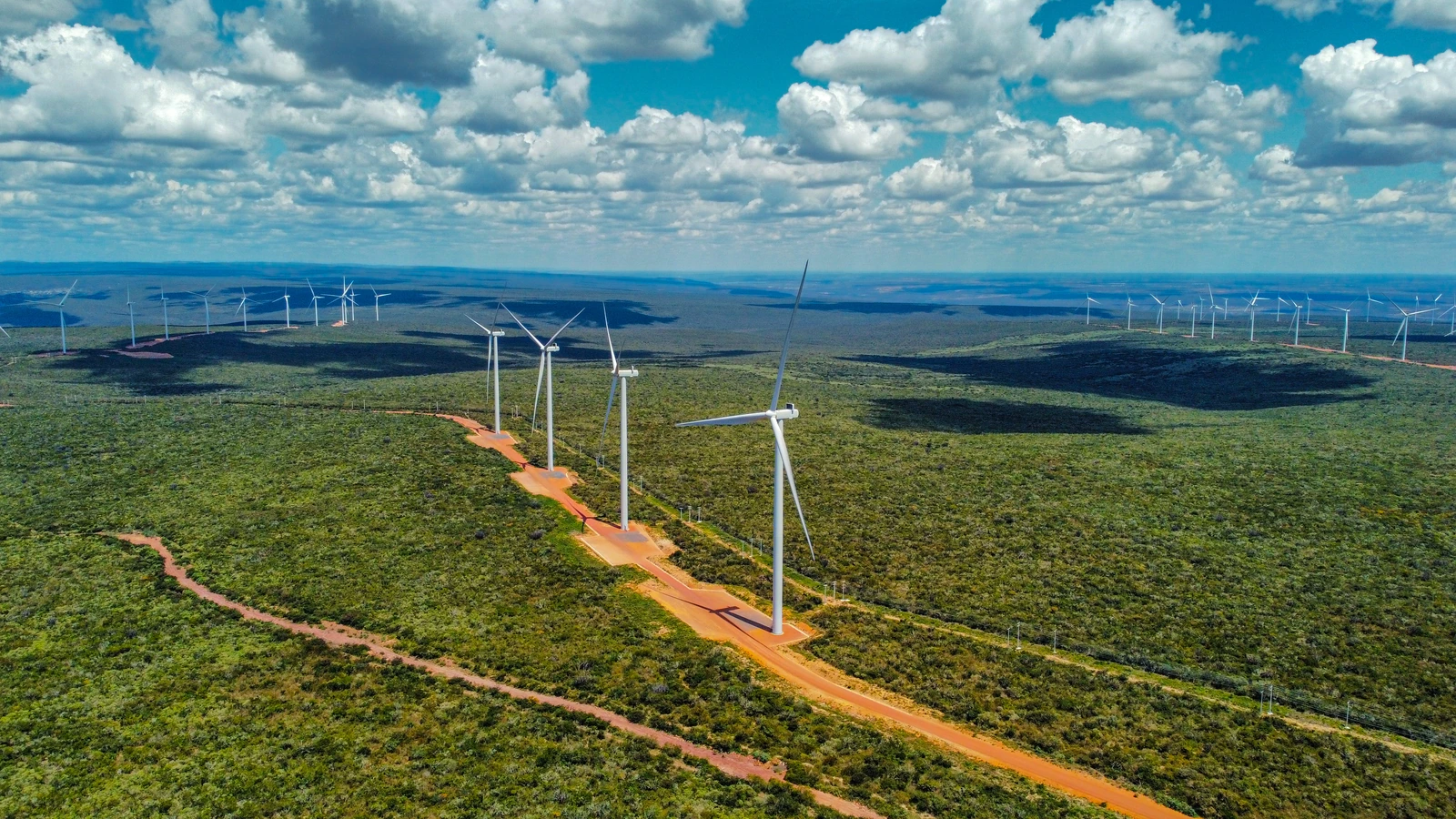 Vista aérea de um parque eólico em área de vegetação, em foto enviada pela Flygraph